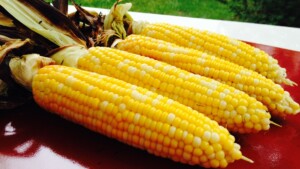 Grilled Corn - © ProtectiveDiet.com