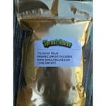 ProtectiveDiet.com Recommendation: The Sprout House Broccoli Certified Organic Non-gmo Seeds for Sprouting 8 Ounces - 1/2 Pound