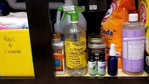 All Purpose Cleaning Spray Premium PD Recipe