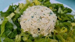 Epic Egg-less Salad Premium PD Recipe