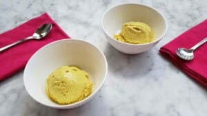 The Best Plant-Based Eggnog Nice Cream Premium PD Recipe