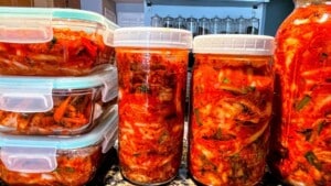 Plant-Based Kimchi Premium PD Recipe