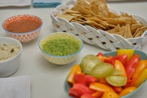Roasted Salsa Featuring Green or Red Tomatoes Premium PD Recipe